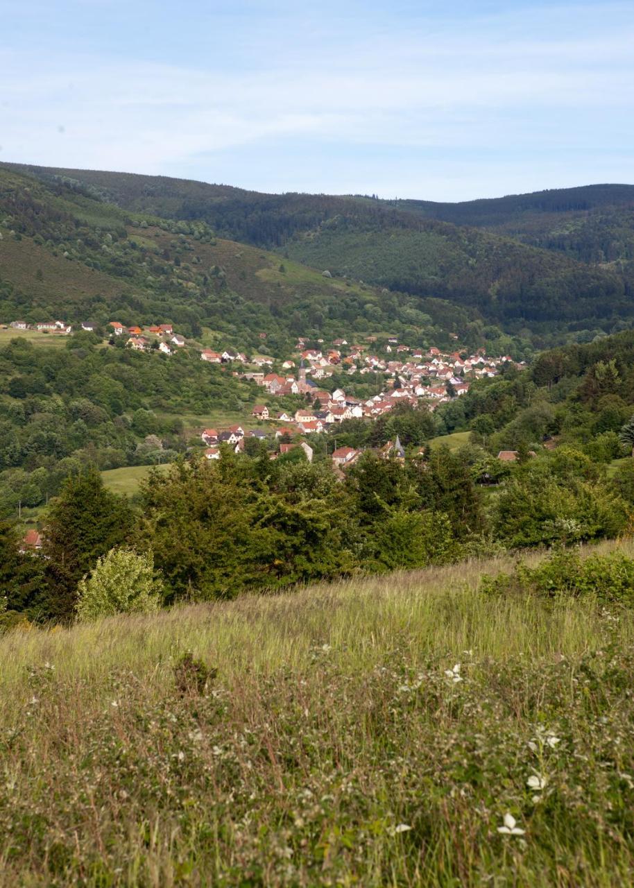 Hotel Restaurant Auberge Metzger Natzwiller Exteriér fotografie